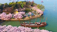 春风又绿江南岸-90秒感受水韵江苏生态美.jpg