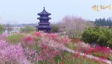 潮涌泰州.jpg