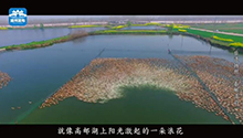 非遗扬州·秦邮清韵.jpg
