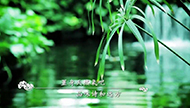 《春来，寻味泰州》之九：水乡深呼吸.jpg