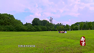 城市映像丨《南京》第一季（6）：学府景致.jpg