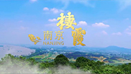 城市映像丨有凤来栖-不止于霞.jpg