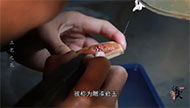 指尖上的扬州丨工艺之花.jpg