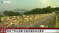 《南京解放》系列短视频（66）：人民的南京.jpg